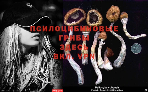 СК Баксан
