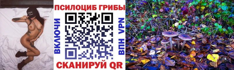 Псилоцибиновые грибы Cubensis где можно купить Ногинск