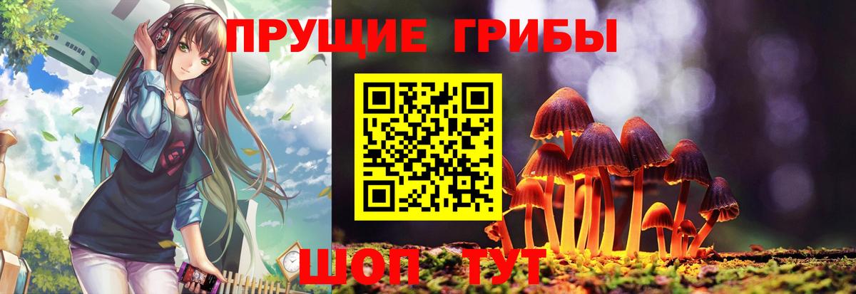 Галлюциногенные грибы мухоморы  Псилоцибиновые грибы мухоморы  Ногинск  Вход с VPN 