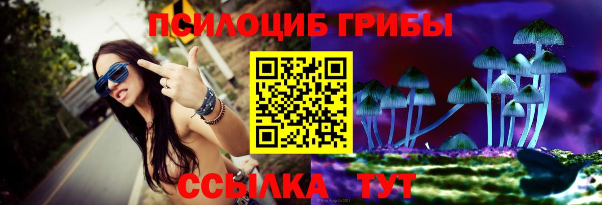 Псилоцибиновые грибы мицелий Ногинск